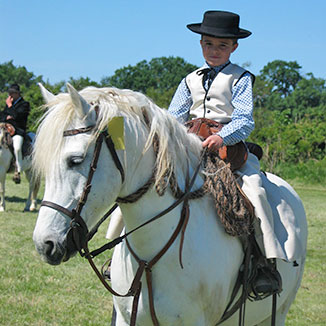 Boy riding Camargue horse