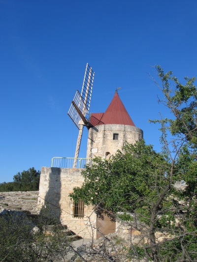 camargue spring 06 085